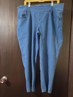 Time and Tru Petite 16-18 XL pants Blue